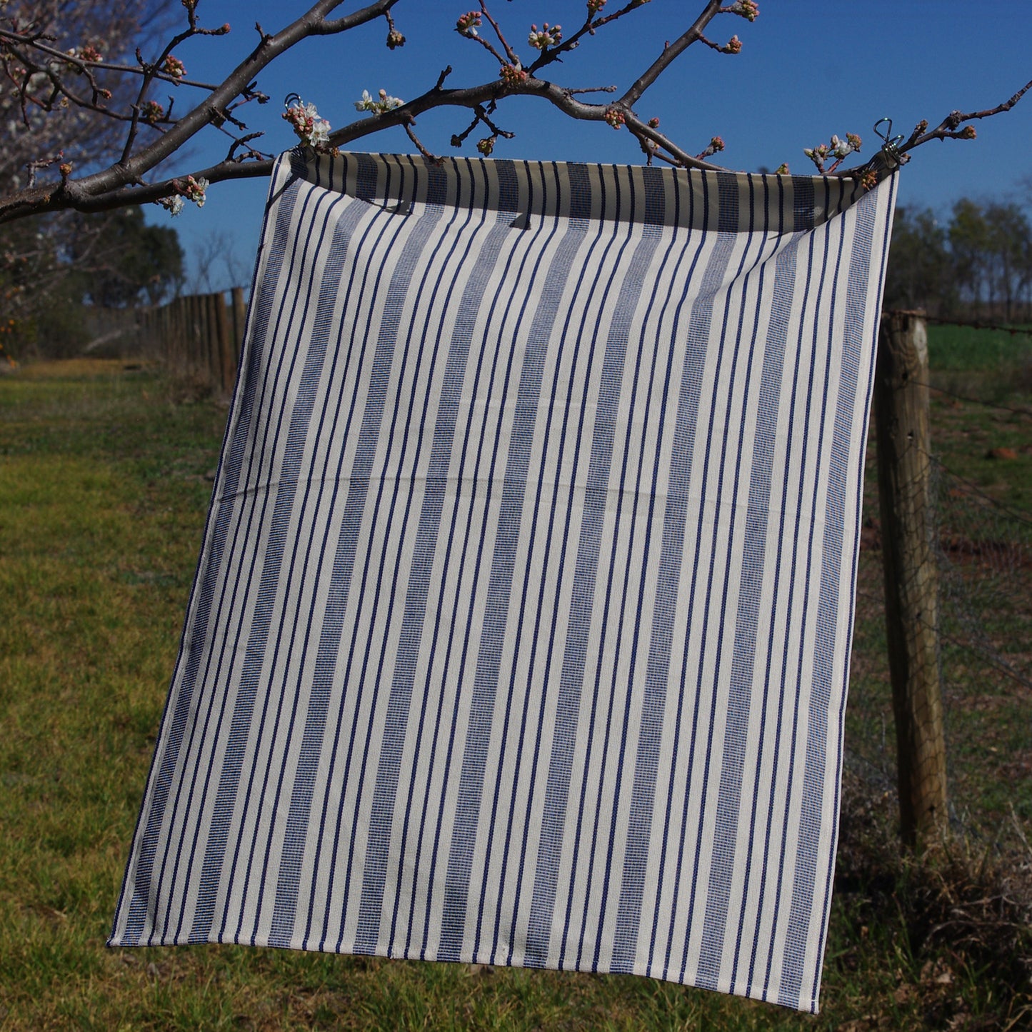 Tea Towel - Regency stripe (Multi-Blue & Ecru)